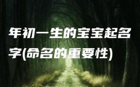 年初一生的宝宝起名字(命名的重要性)