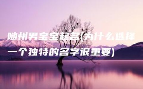 随州男宝宝起名(为什么选择一个独特的名字很重要)