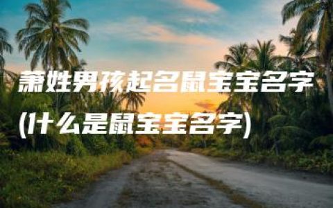 萧姓男孩起名鼠宝宝名字(什么是鼠宝宝名字)