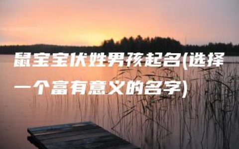 鼠宝宝伏姓男孩起名(选择一个富有意义的名字)