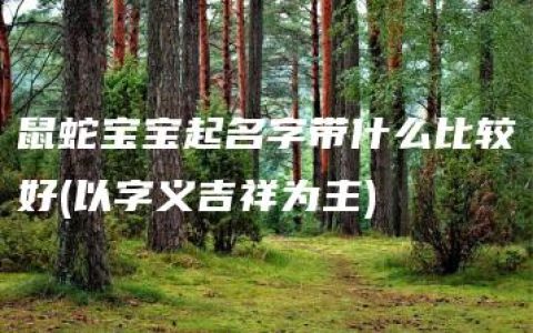 鼠蛇宝宝起名字带什么比较好(以字义吉祥为主)