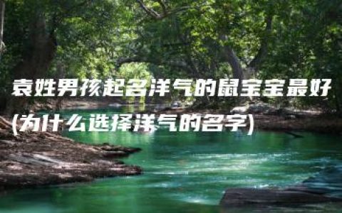 袁姓男孩起名洋气的鼠宝宝最好(为什么选择洋气的名字)