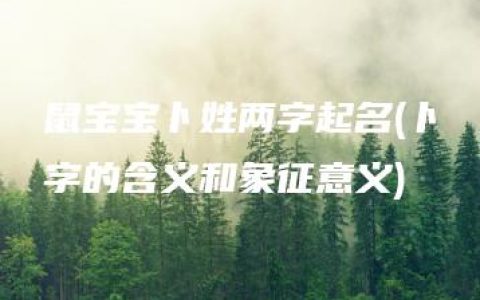 鼠宝宝卜姓两字起名(卜字的含义和象征意义)