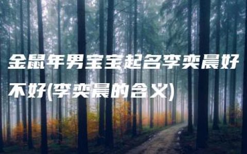 金鼠年男宝宝起名李奕晨好不好(李奕晨的含义)