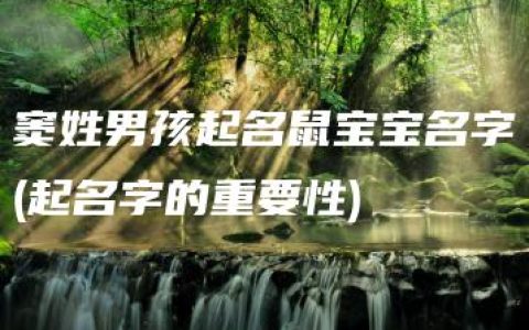 窦姓男孩起名鼠宝宝名字(起名字的重要性)