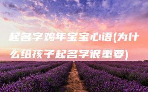 起名字鸡年宝宝心语(为什么给孩子起名字很重要)