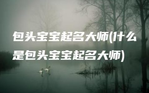 包头宝宝起名大师(什么是包头宝宝起名大师)