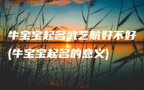 牛宝宝起名武艺航好不好(牛宝宝起名的意义)