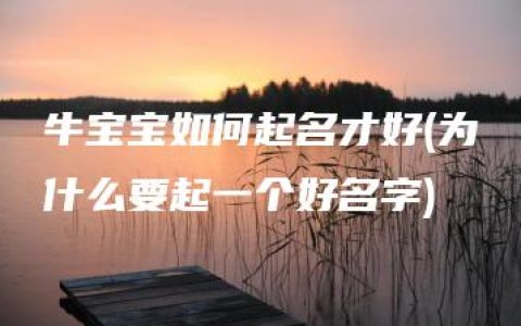 牛宝宝如何起名才好(为什么要起一个好名字)