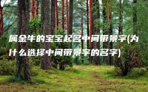 属金牛的宝宝起名中间带景字(为什么选择中间带景字的名字)