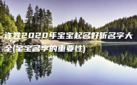 许姓2020年宝宝起名好听名字大全(宝宝名字的重要性)