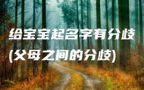 给宝宝起名字有分歧(父母之间的分歧)