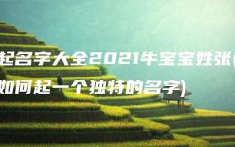 起名字大全2021牛宝宝姓张(如何起一个独特的名字)