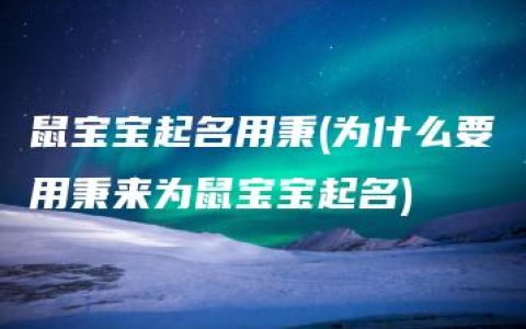 鼠宝宝起名用秉(为什么要用秉来为鼠宝宝起名)