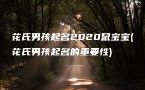 花氏男孩起名2020鼠宝宝(花氏男孩起名的重要性)