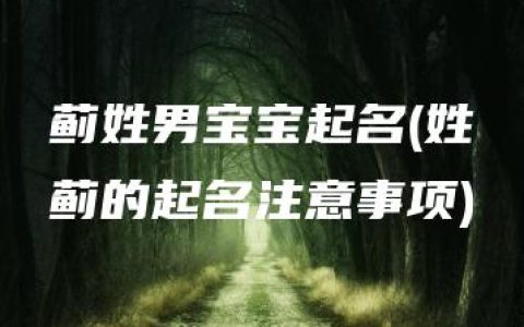 蓟姓男宝宝起名(姓蓟的起名注意事项)