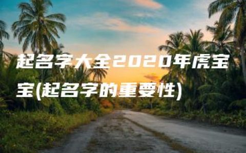 起名字大全2020年虎宝宝(起名字的重要性)