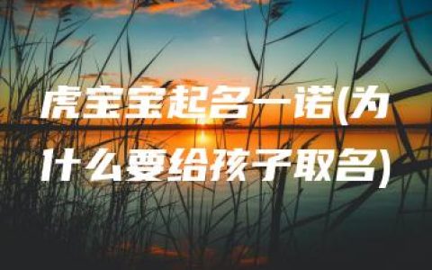 虎宝宝起名一诺(为什么要给孩子取名)