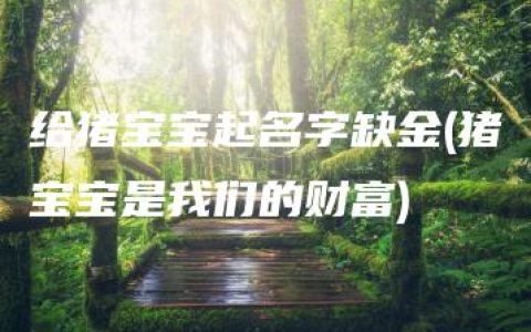 给猪宝宝起名字缺金(猪宝宝是我们的财富)