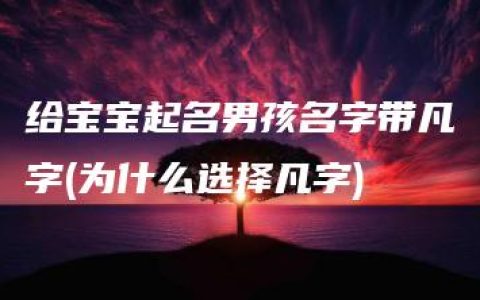 给宝宝起名男孩名字带凡字(为什么选择凡字)