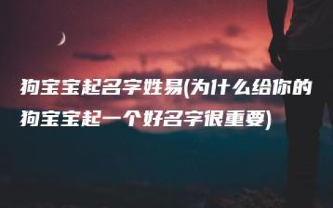 狗宝宝起名字姓易(为什么给你的狗宝宝起一个好名字很重要)