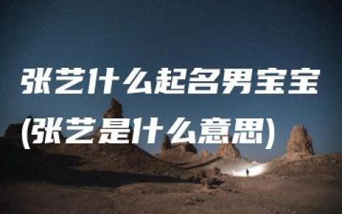 张艺什么起名男宝宝(张艺是什么意思)