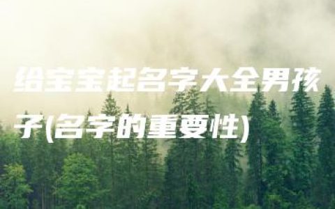 给宝宝起名字大全男孩子(名字的重要性)