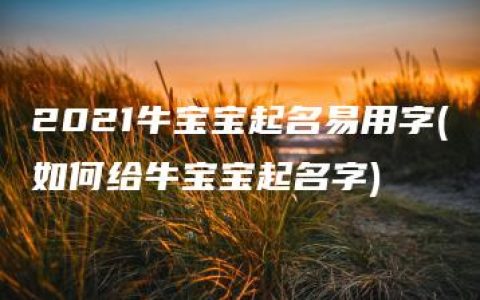 2021牛宝宝起名易用字(如何给牛宝宝起名字)