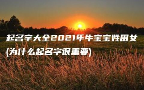 起名字大全2021年牛宝宝姓田女(为什么起名字很重要)