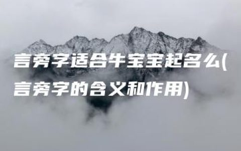 言旁字适合牛宝宝起名么(言旁字的含义和作用)