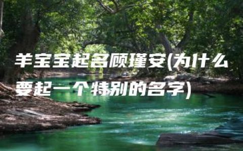 羊宝宝起名顾瑾安(为什么要起一个特别的名字)