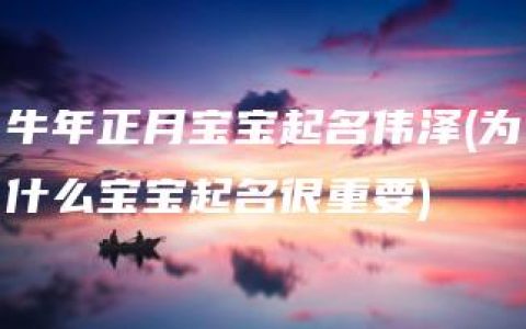 牛年正月宝宝起名伟泽(为什么宝宝起名很重要)