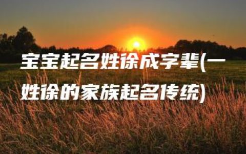 宝宝起名姓徐成字辈(一姓徐的家族起名传统)