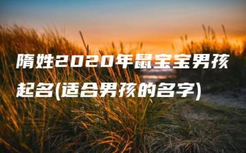 隋姓2020年鼠宝宝男孩起名(适合男孩的名字)