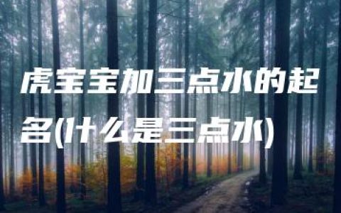 虎宝宝加三点水的起名(什么是三点水)