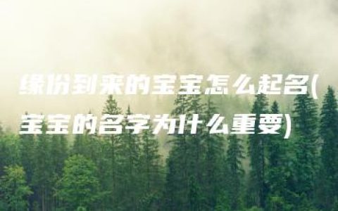 缘份到来的宝宝怎么起名(宝宝的名字为什么重要)