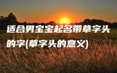 适合男宝宝起名带草字头的字(草字头的意义)