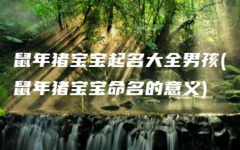 鼠年猪宝宝起名大全男孩(鼠年猪宝宝命名的意义)