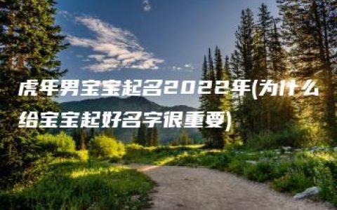 虎年男宝宝起名2022年(为什么给宝宝起好名字很重要)