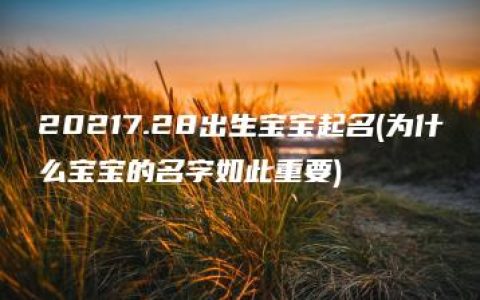 20217.28出生宝宝起名(为什么宝宝的名字如此重要)