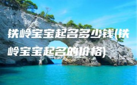 铁岭宝宝起名多少钱(铁岭宝宝起名的价格)