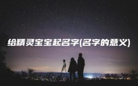 给精灵宝宝起名字(名字的意义)