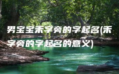 男宝宝禾字旁的字起名(禾字旁的字起名的意义)