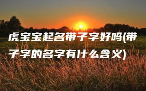 虎宝宝起名带子字好吗(带子字的名字有什么含义)