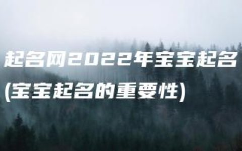 起名网2022年宝宝起名(宝宝起名的重要性)