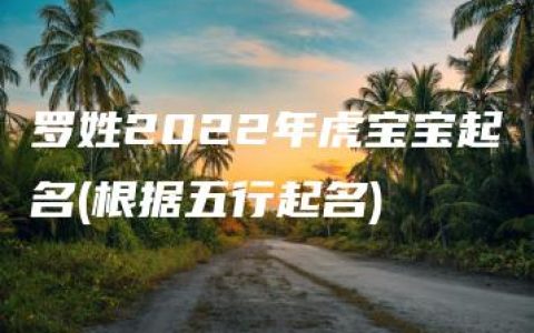 罗姓2022年虎宝宝起名(根据五行起名)