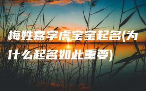 梅姓嘉字虎宝宝起名(为什么起名如此重要)