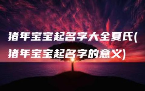 猪年宝宝起名字大全夏氏(猪年宝宝起名字的意义)