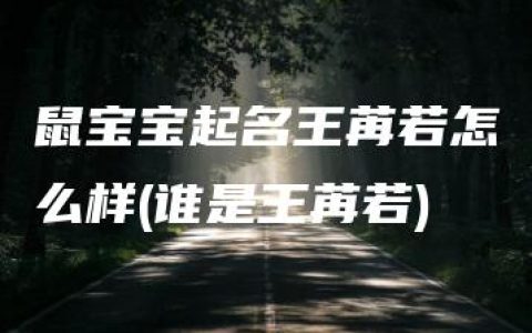 鼠宝宝起名王苒若怎么样(谁是王苒若)