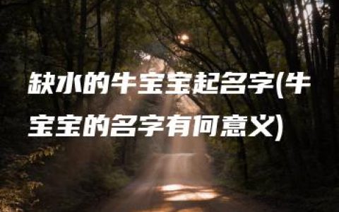 缺水的牛宝宝起名字(牛宝宝的名字有何意义)